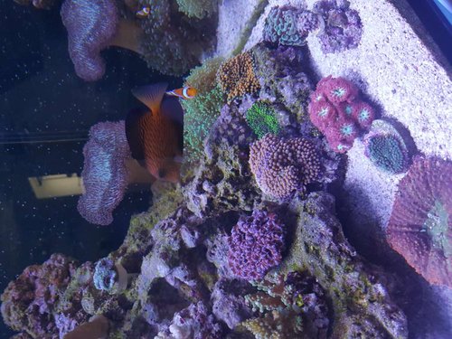 20170812_131103.jpg