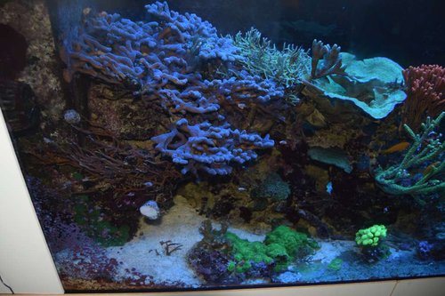 DSC_0117.JPG
