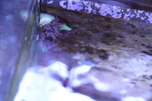 IMG_2432.JPG