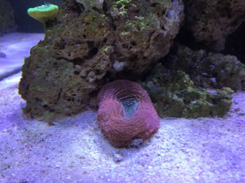 IMG_2469.JPG