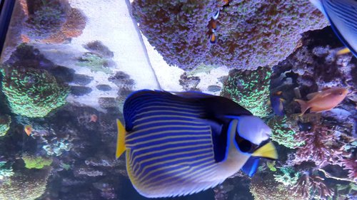 20170830_171301.jpg