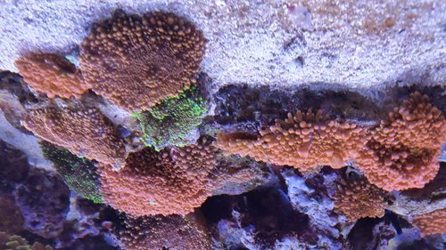 20170830_171020.jpg