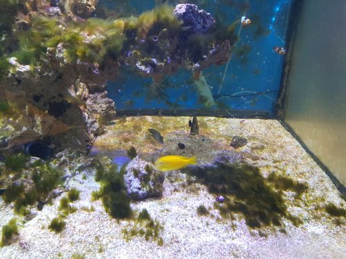20170904_164911.jpg