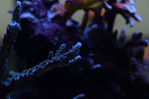 DSC_01317.9.2017.JPG