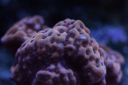DSC_01347.9.2017.JPG