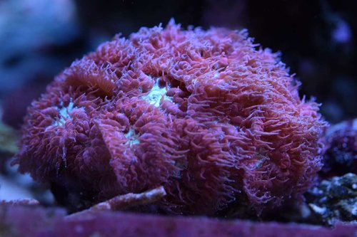 DSC_01357.9.2017.JPG