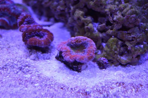 DSC_0006.JPG