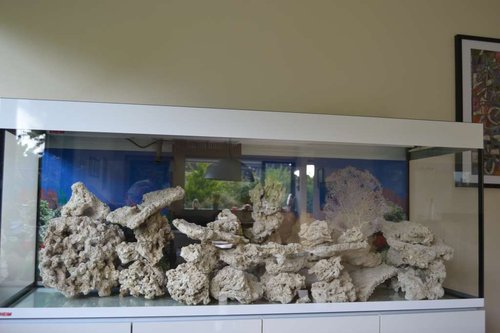 DSC_0962.JPG