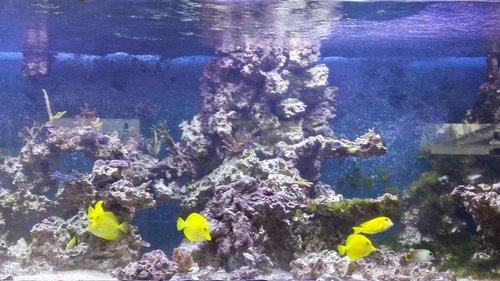 20171003_141920.jpg