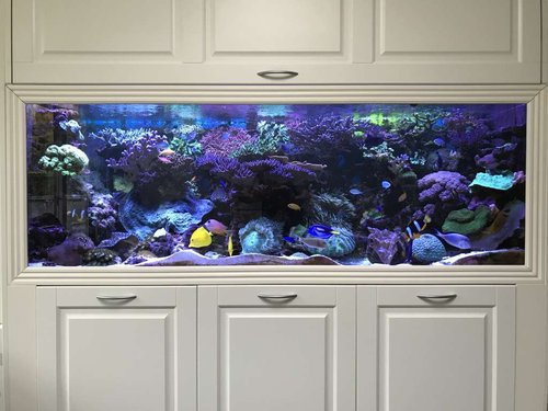 FTS 07102017.jpg