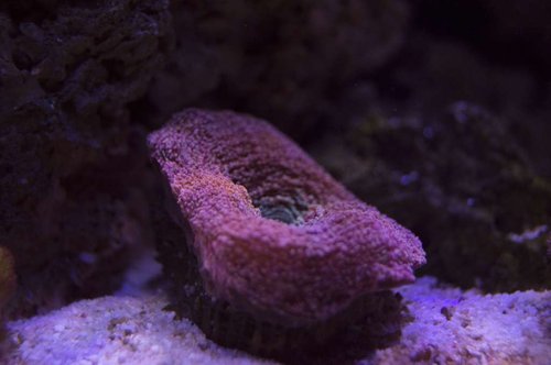 DSC_0063a.JPG
