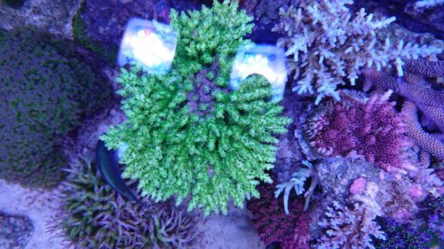 DSCPDC_0001_BURST20171017184456379.JPG