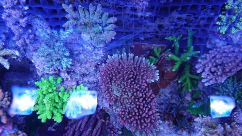 DSCPDC_0003_BURST20171017184403746_COVER.JPG