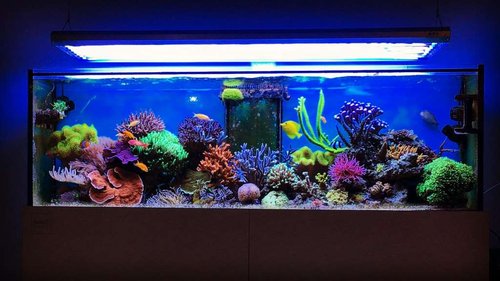 IMG_3798.JPG
