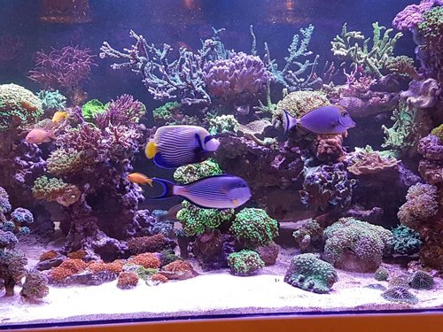 20171019_205532.jpg