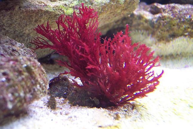 100_2517.JPG