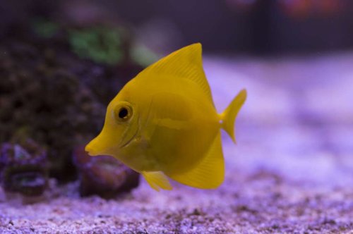 DSC_0034a.JPG