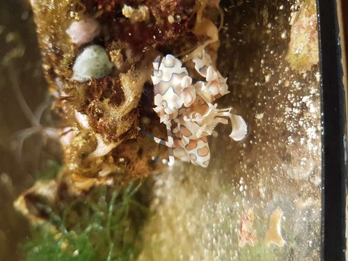20171107_174540.jpg