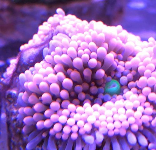 AC1E0F06-CEB2-4887-A2F6-79A326F29B43.jpeg