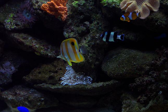 100_2523.JPG