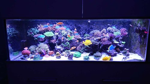 DSC_0125.JPG