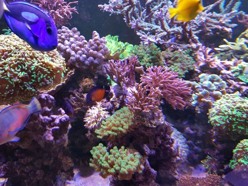 20171118_150554.jpg