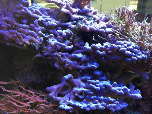 foto22.JPG