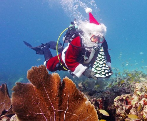 KV-Underwater-Santa-pix-2014.jpg