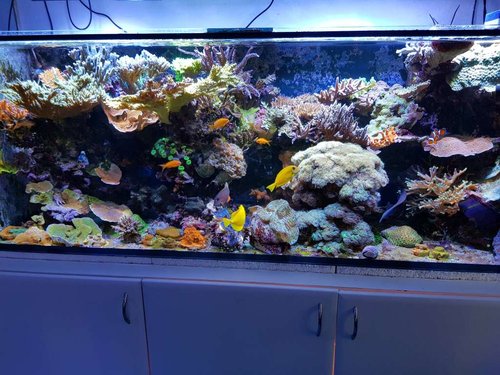 Fts den 24.12.2017