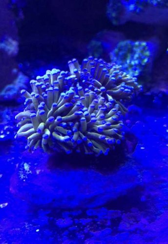 E1589048-7D0E-47E1-82B5-A447EA334BC9.jpeg