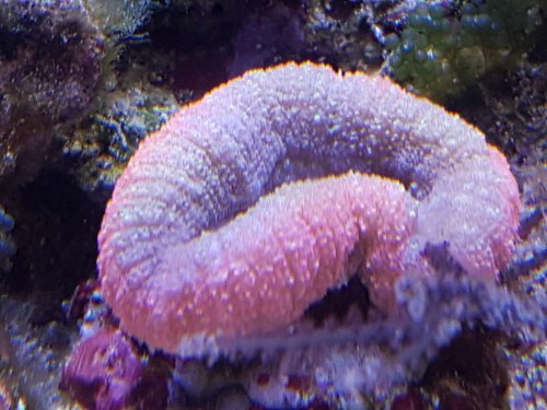 20180101_131942.jpg
