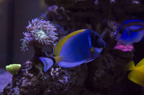 DSC_0092a.JPG (41.24 KiB) Vist 1930 gange Rest in peace