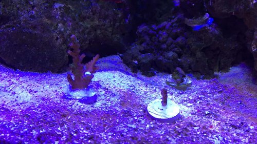 IMG_2620.JPG
