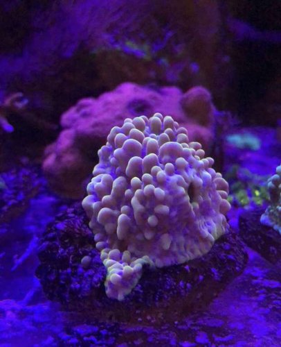 0318371E-F64C-47CA-B6E6-304CBD91F7C6.jpeg