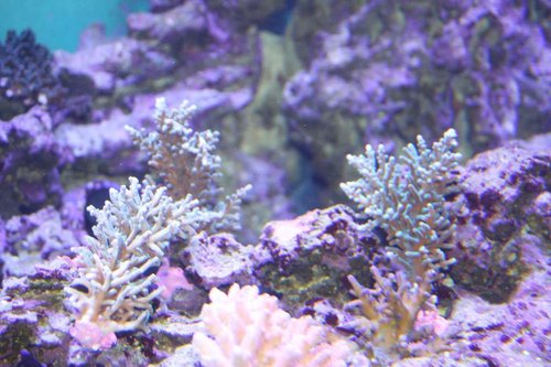 IMG_4431.JPG