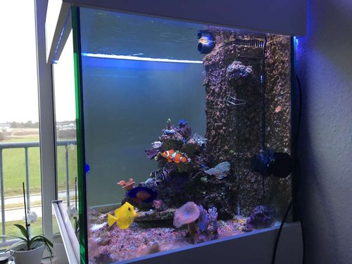 Akvarium2.JPG