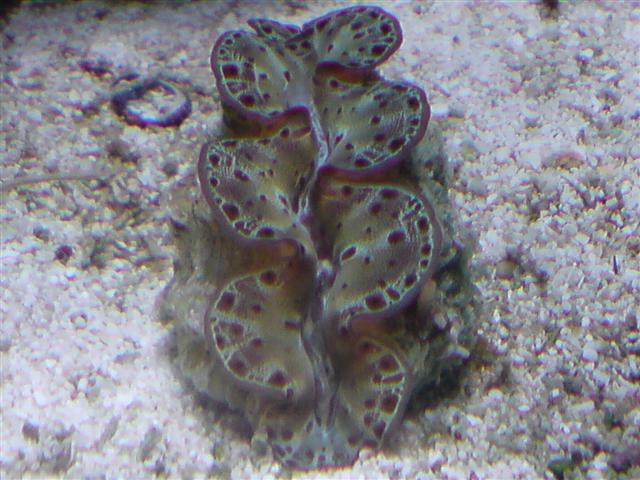 DSC00798 (Small).JPG