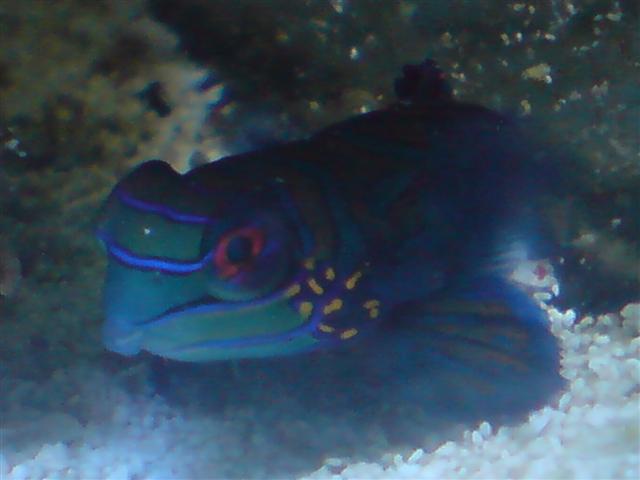 DSC00790 (Small).JPG