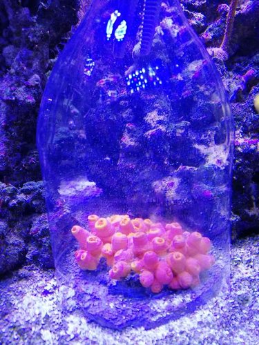 IMG_20180205_213444.jpg