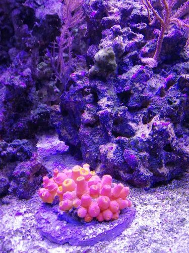 IMG_20180205_214908.jpg