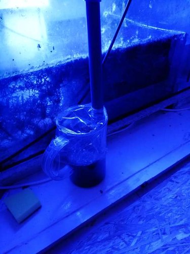 IMG_20180205_221421.jpg