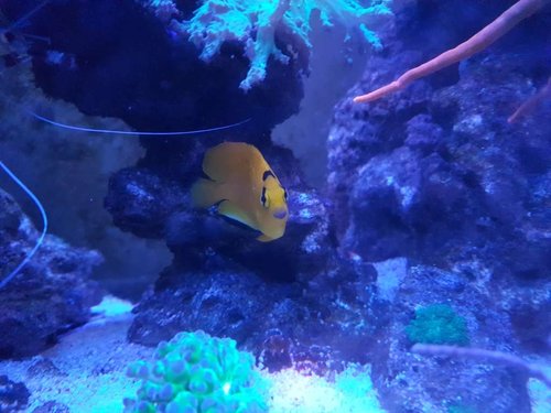 20180208_180515.jpg