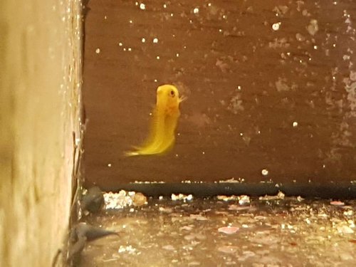 20180208_181557.jpg