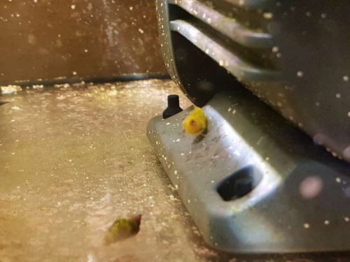 20180208_181128.jpg