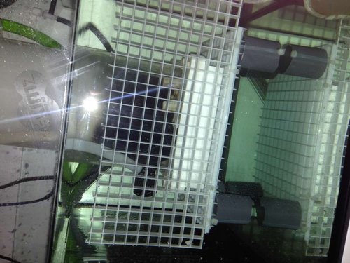 Sump