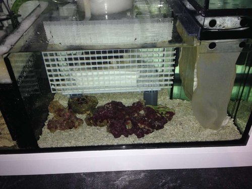 Sump