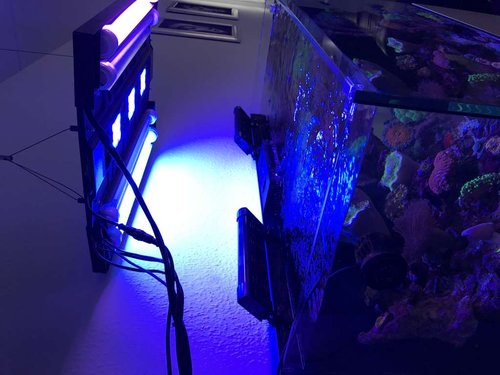 Maxspect “hybrid”