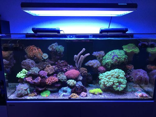 FTS 11/02 eftermiddag