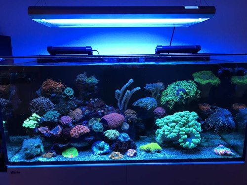 FTS 11/02 aften