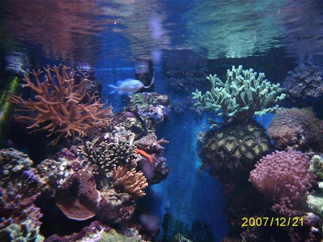 Dec 2007